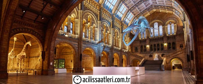 Natural History Museum Opening Times